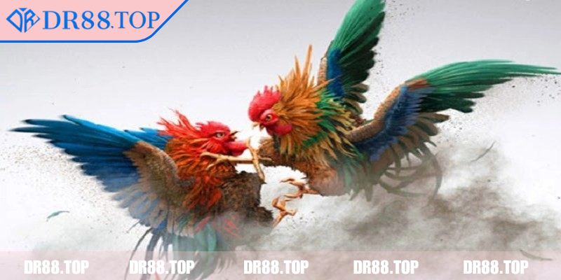Trải nghiệm giao diện mượt trên mọi thiết bị