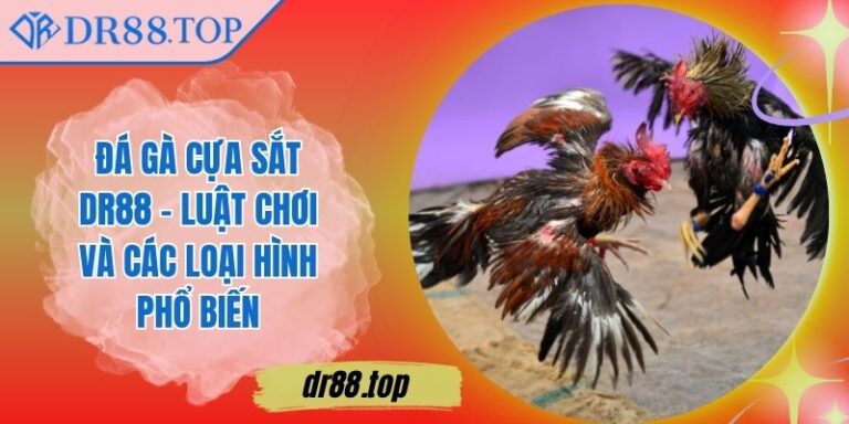 Đá Gà Cựa Sắt DR88 - Luật Chơi Và Các Loại Hình Phổ Biến