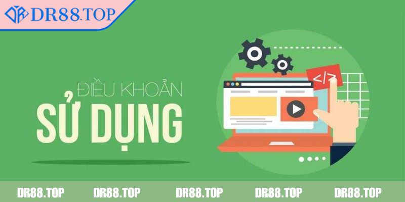 Điểm qua các ý chính trong điều khoản sử dụng DR88