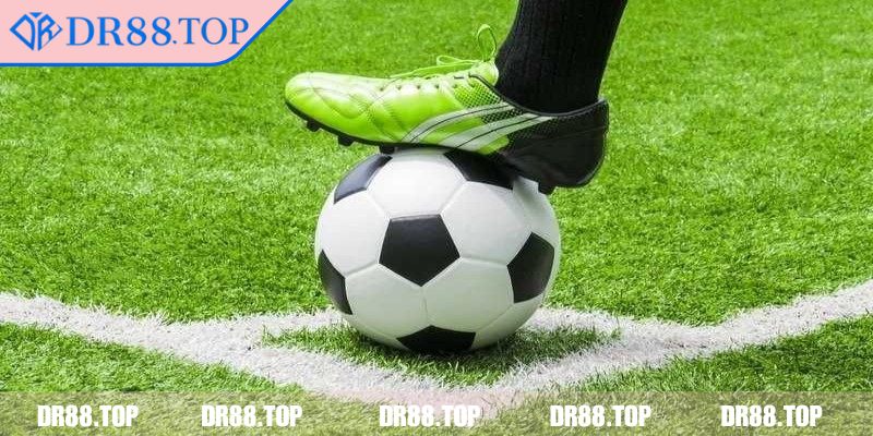 Theo dõi kèo để đưa ra quyết định hợp lý
