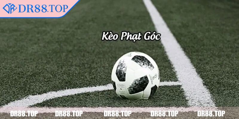 Hướng dẫn Chọn thời điểm đặt cược hợp lý